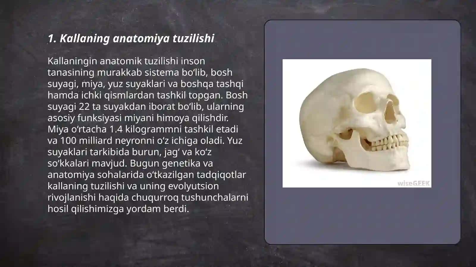 Kallaning yuz suyaklari 3