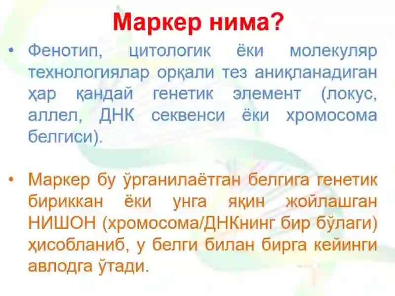 МОЛЕКУЛЯР МАРКЕРЛАР 3