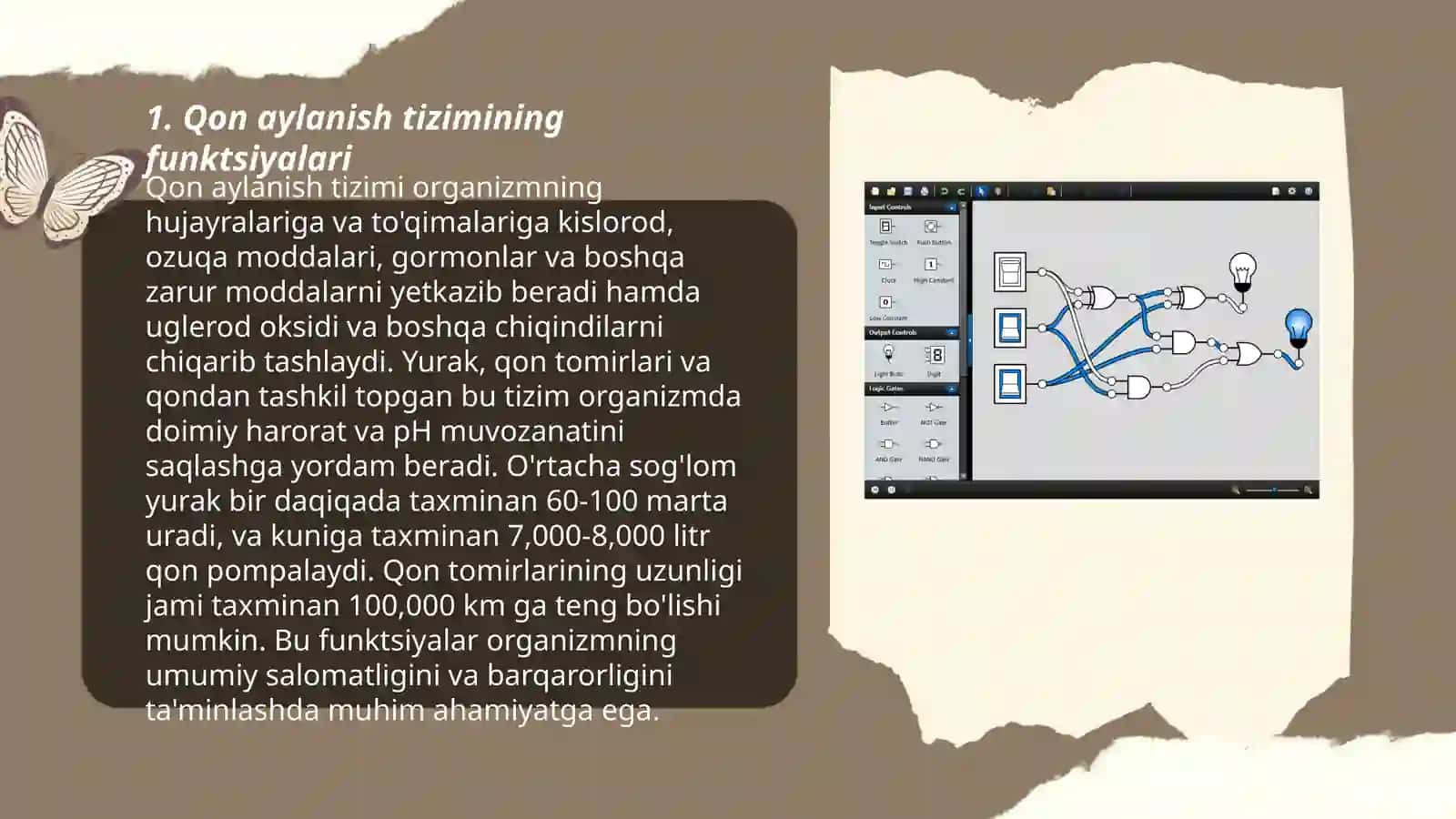 Qon aylanish sistemasi 3