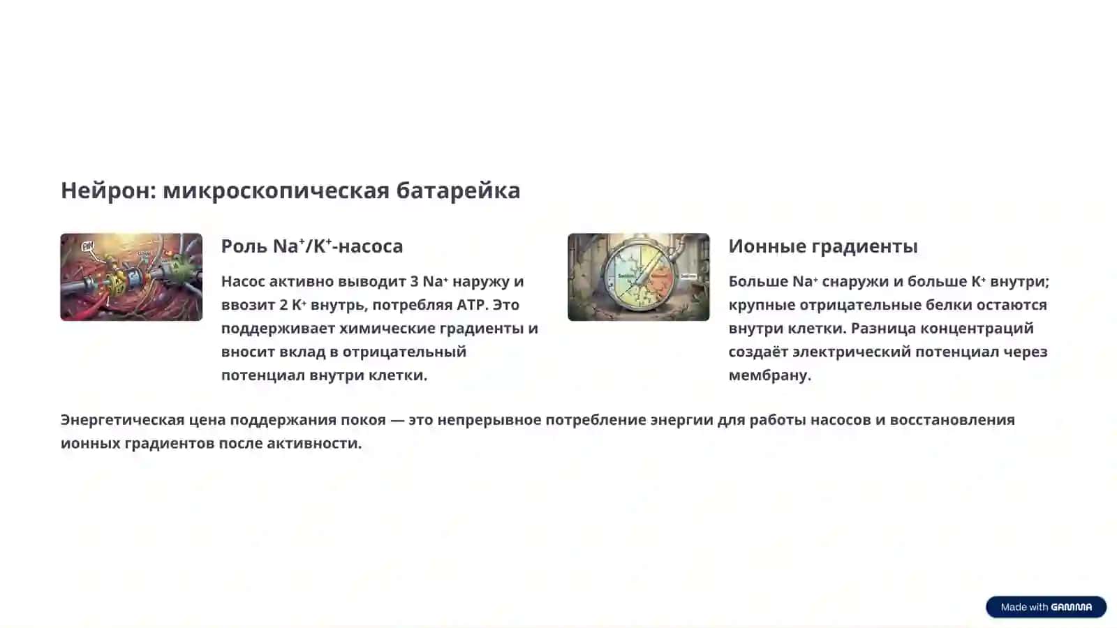 Генерация и передача нервных импульсов: Электричество жизни 3