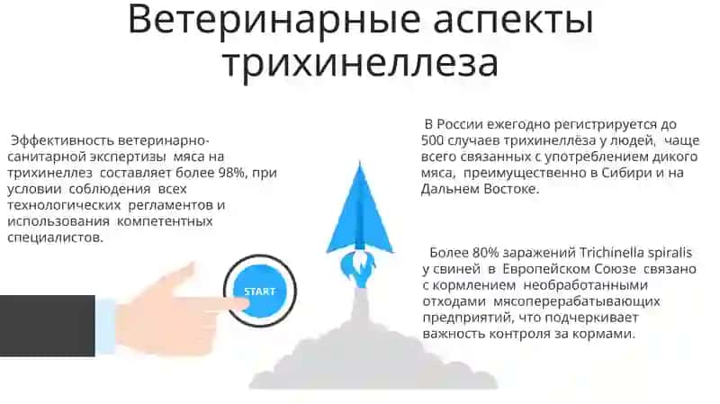 Тип круглое Черви 3