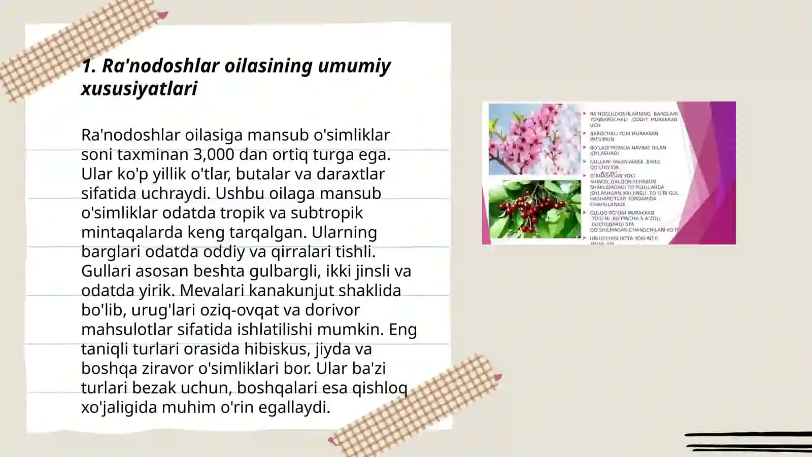 Ra'nodoshlar oilasi 3