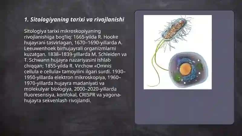 Sitologiya va uning asoslari 3