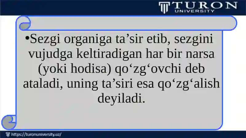 SEZGI HAQIDA TUSHUNCHA 3