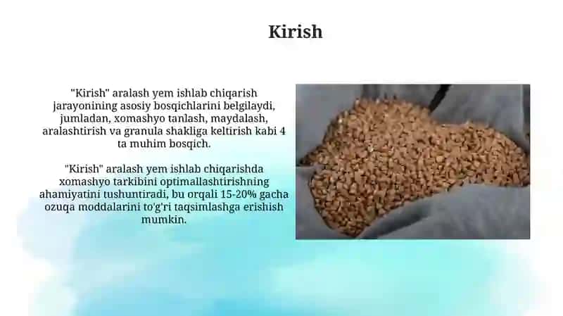 Kirish 3