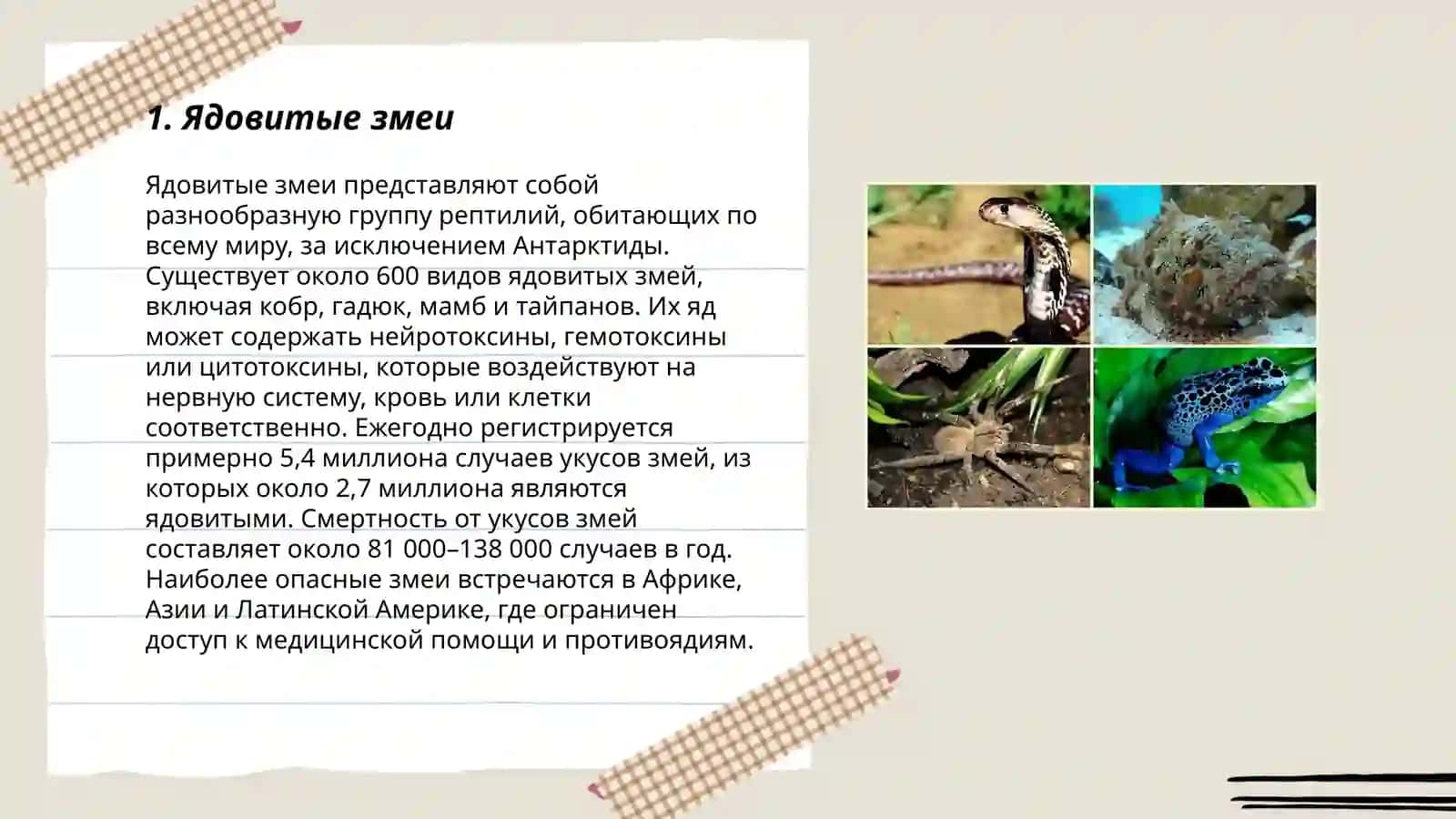 Ядовитые змеи 3