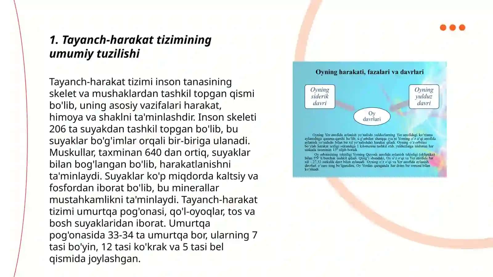 Tayanch-harakat tizimi va uning yoshga xususiyatlari 3