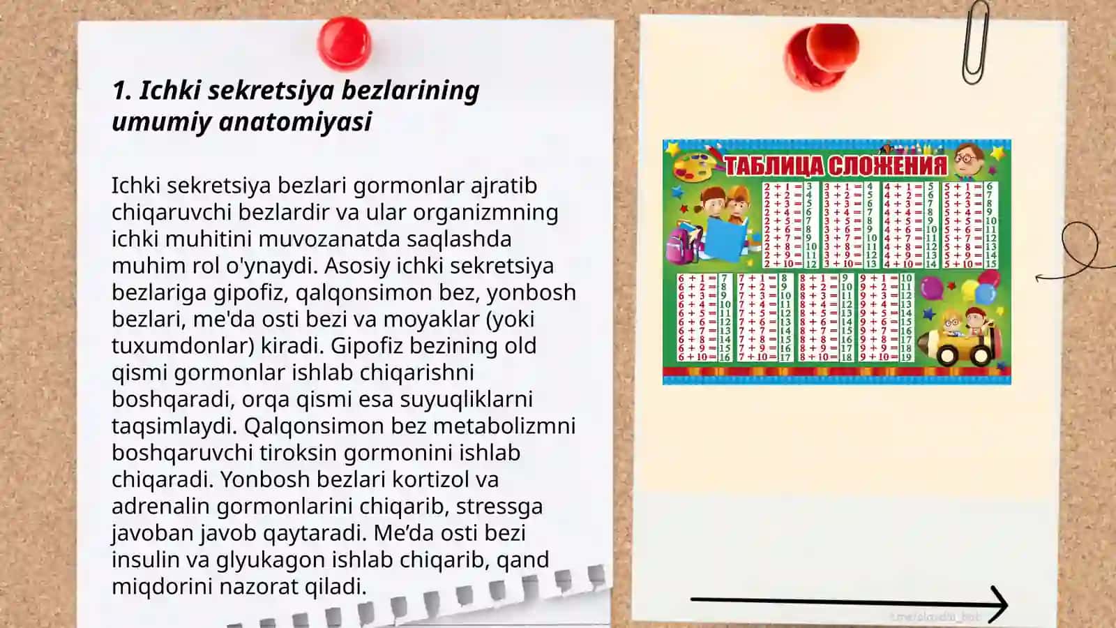 Ichki sekretsiya bezlarini tekshirish usullari. Epifiz 3