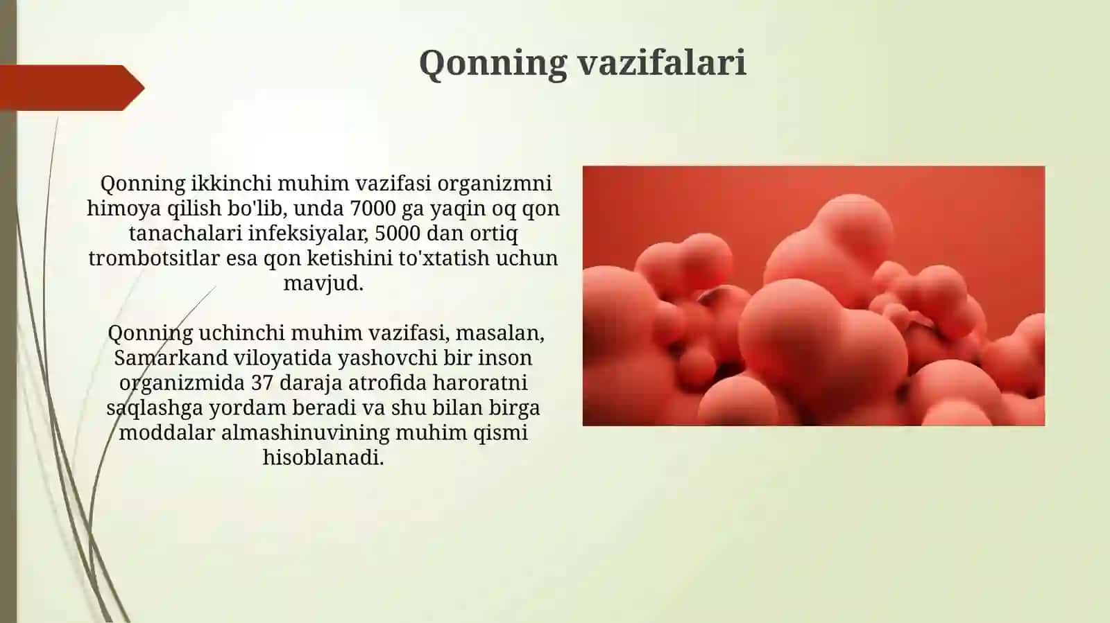 Anemiyalarning kelib chiqishivaturlari 3