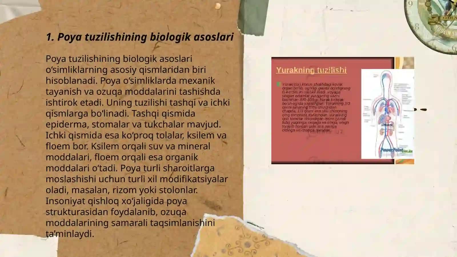 Poya tuzilishi 3