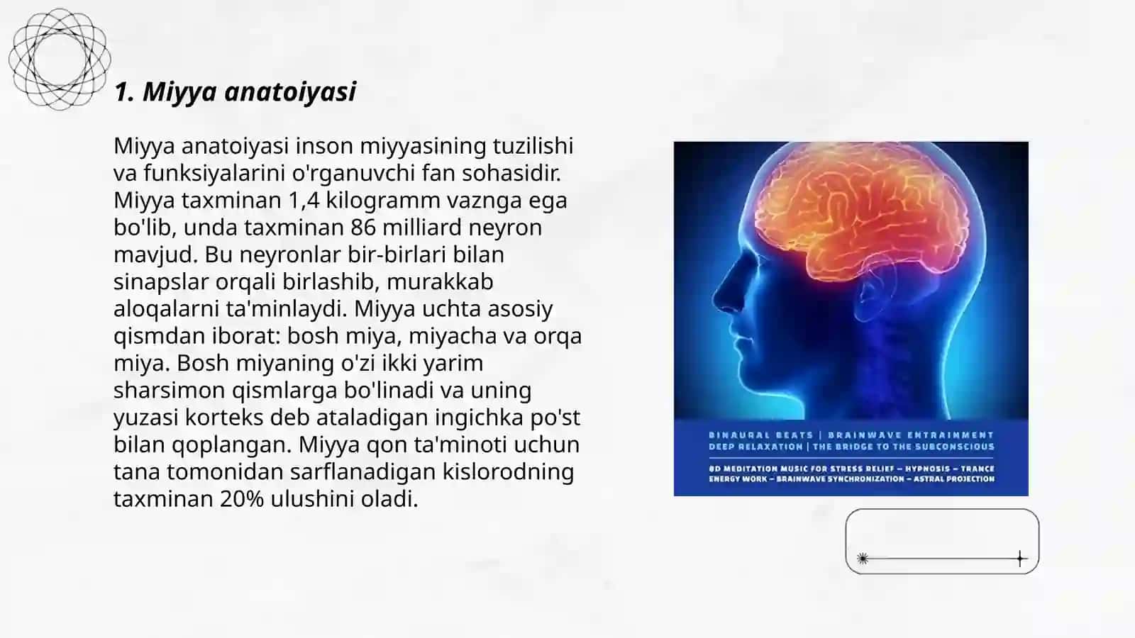 Miyya 3