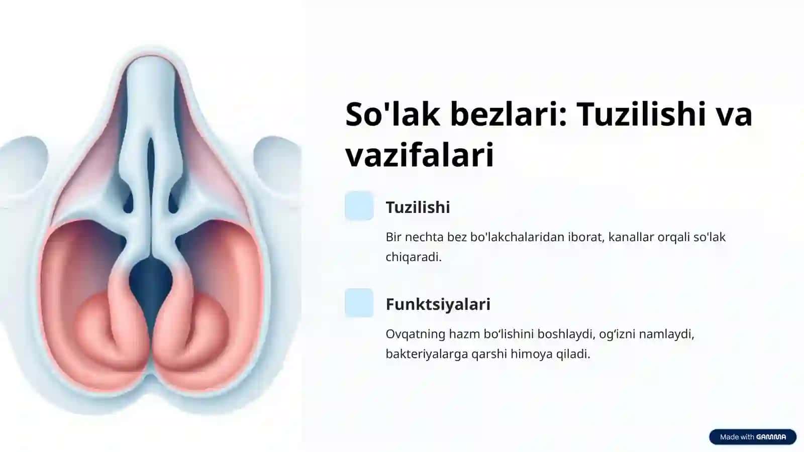 Tashqi sekretsiya bezlari: Kirish 3