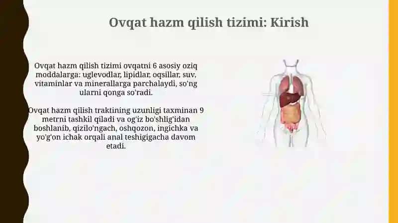 Hazm tizimining azolari 3