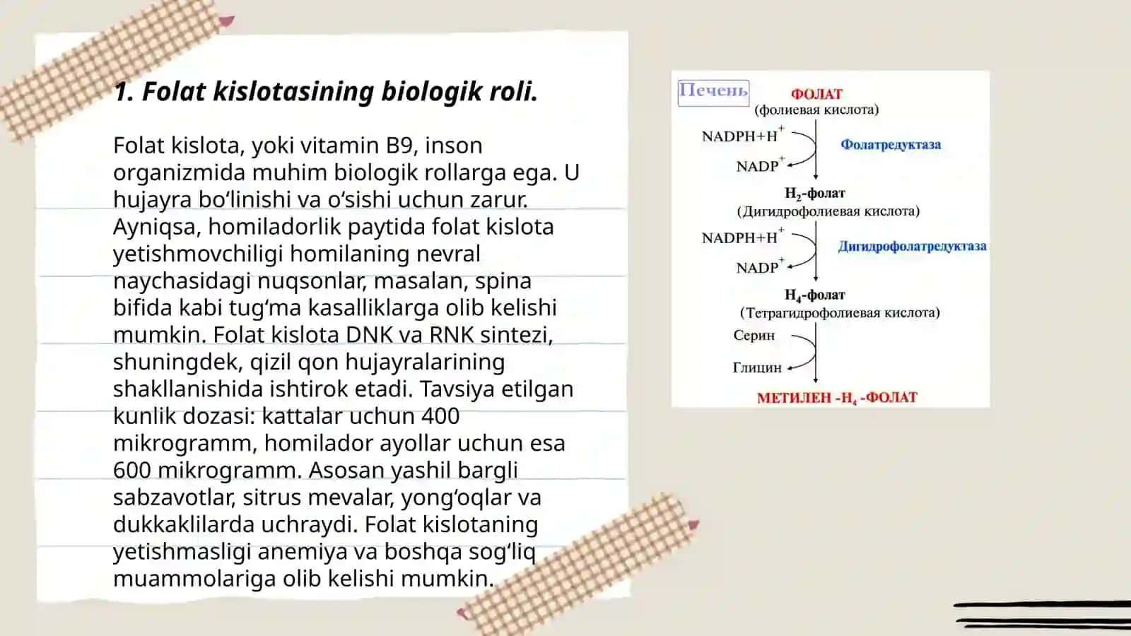 Folat kislotasining yetishmovchiligi 3