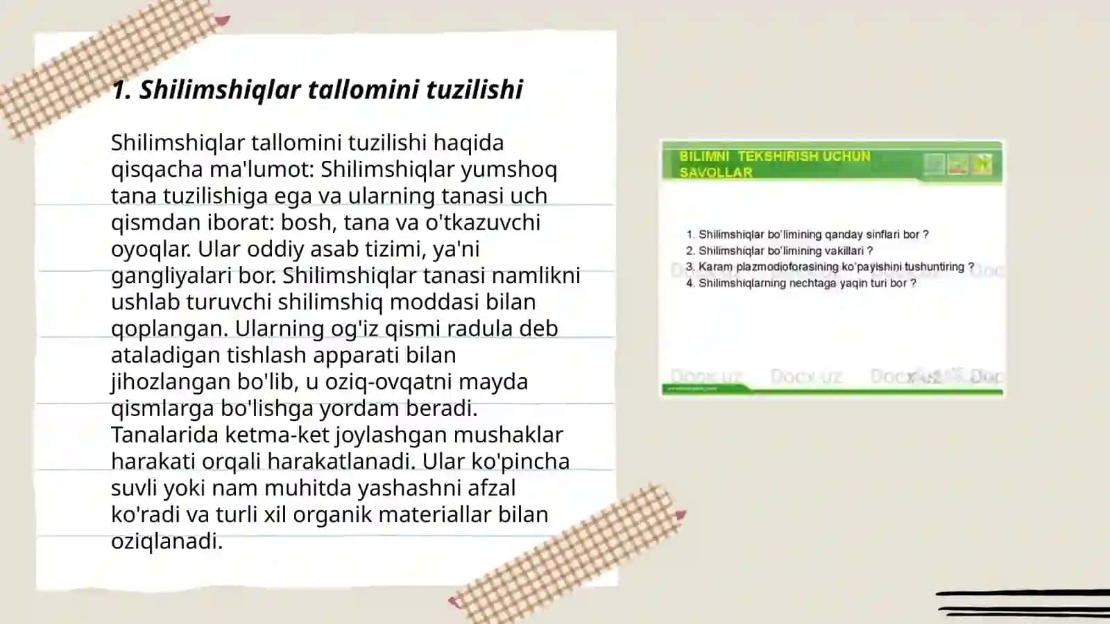 Shilimshiqlar tallomini tuzilishi 3