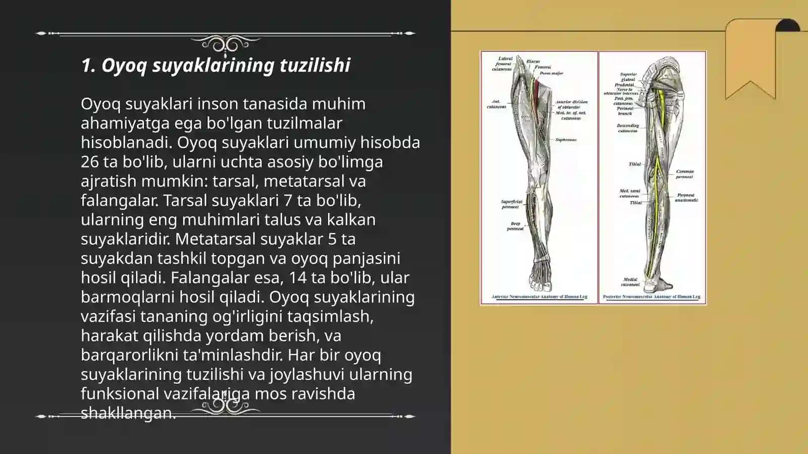Oyoq suyaklarining birlashishi 3