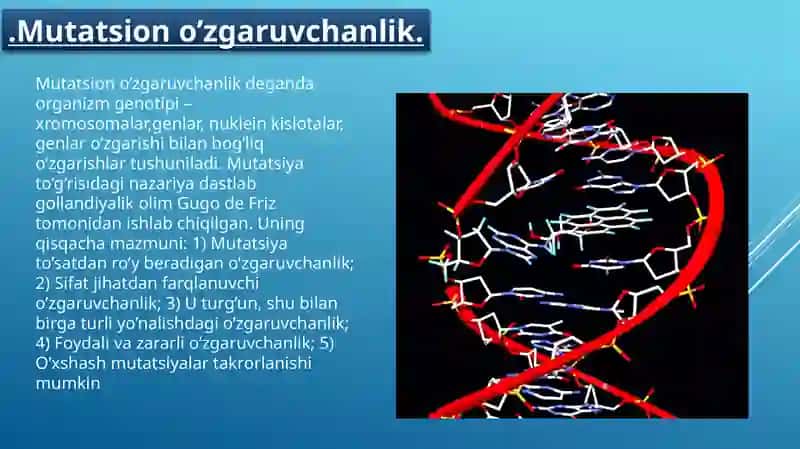 Gen mutatsiyalarining evolyutsion ahamiyati 3