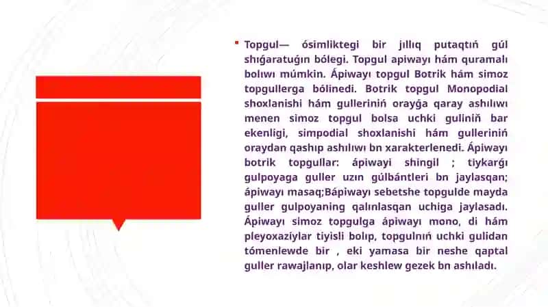 Apıwayı hâm quramalı topguller 3
