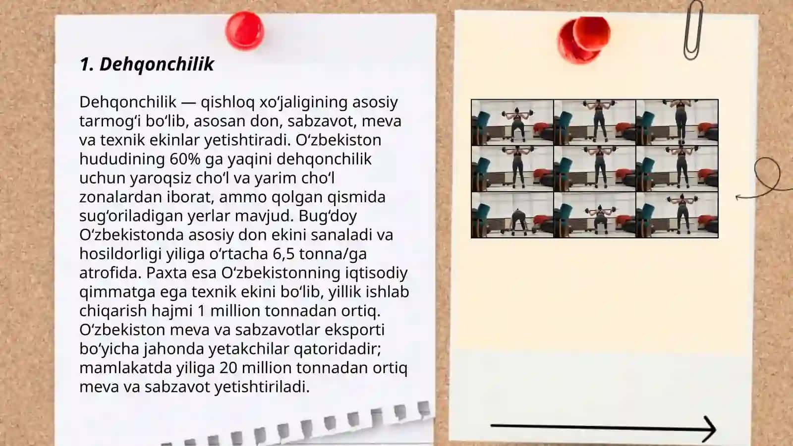 Dehqonchilik 3