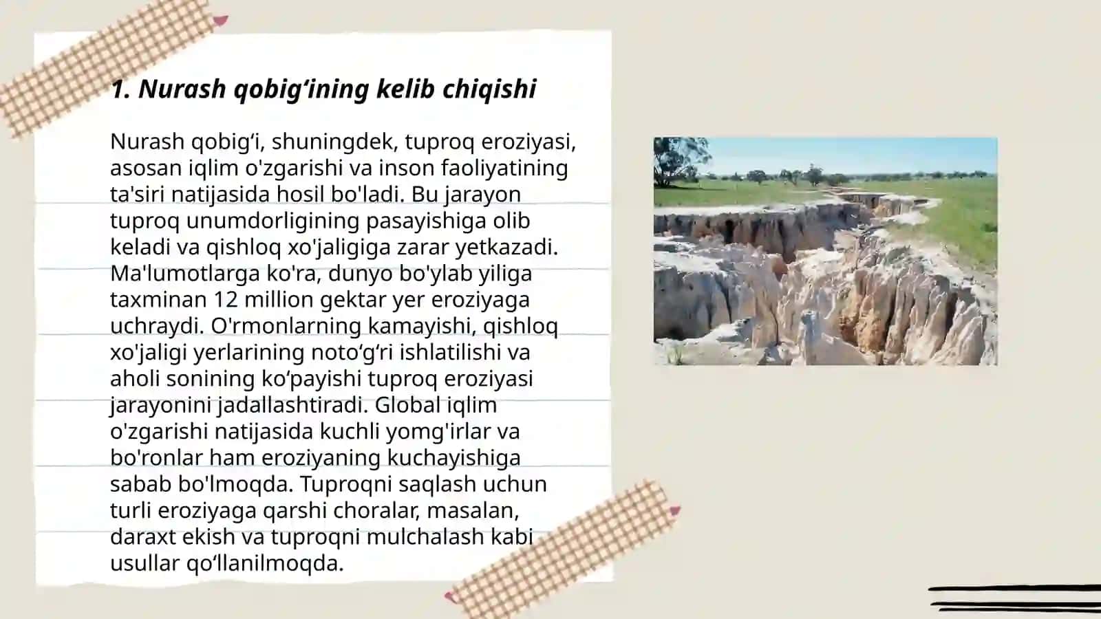 Nurash qobigʻi 3