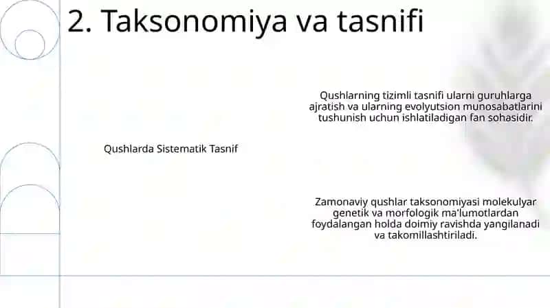 Qushlarning Sistematikasi 3