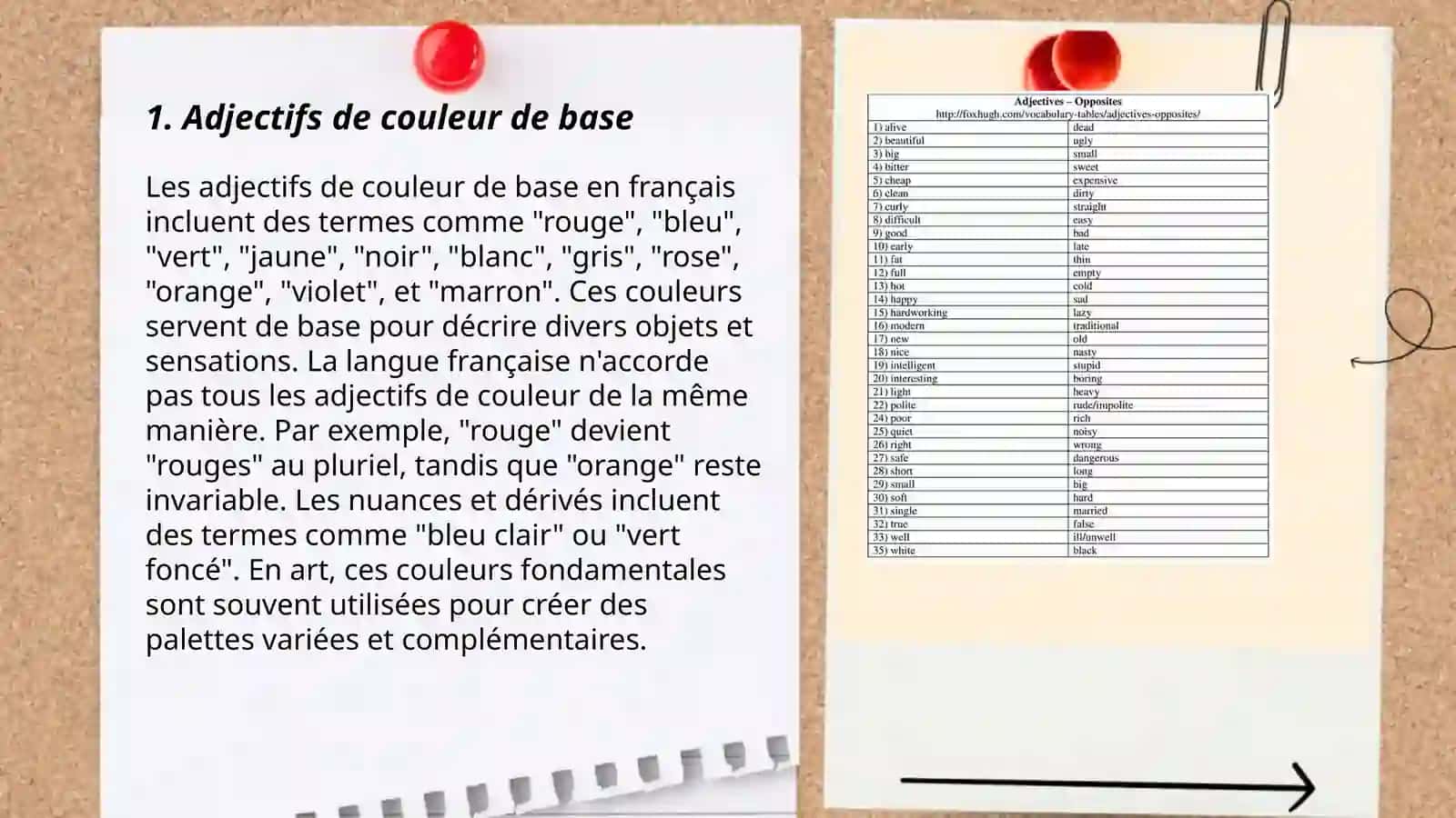 Adjectifs de couleur 3