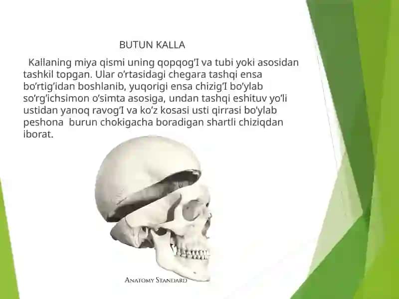Butun Kalla 3