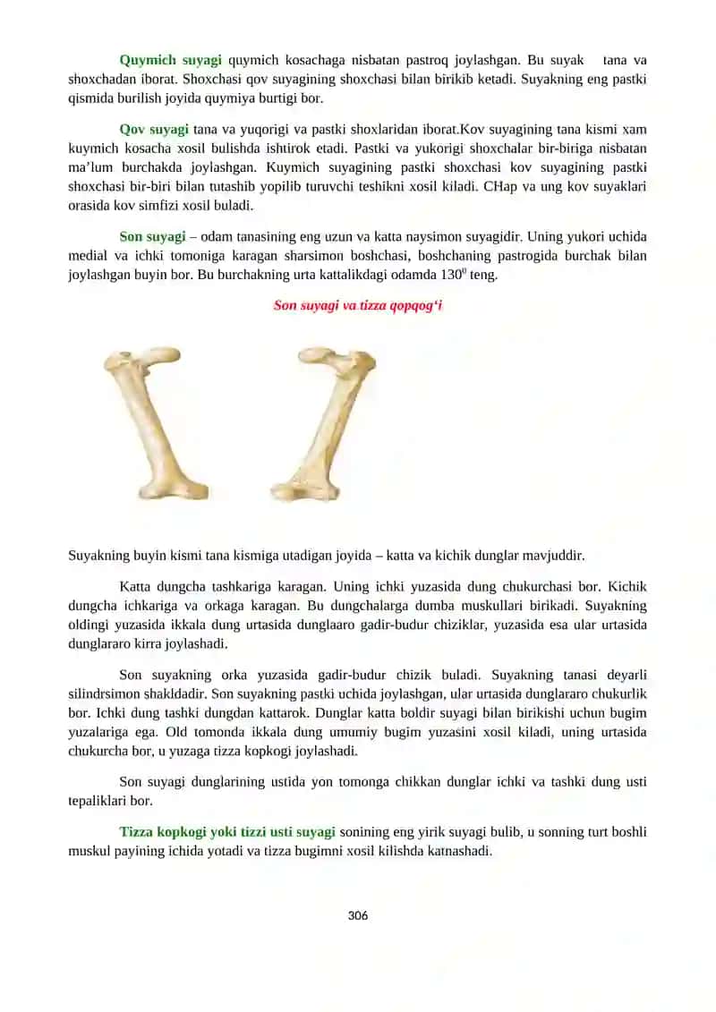 Osteosyndesmology 3