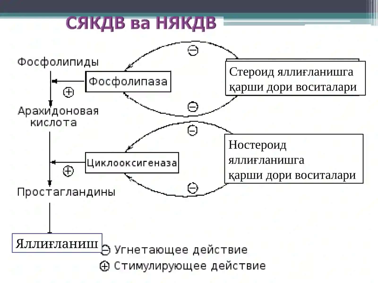 ЯЛЛИГЛАНИШГА КАРШИ ДОРИЛАР 3