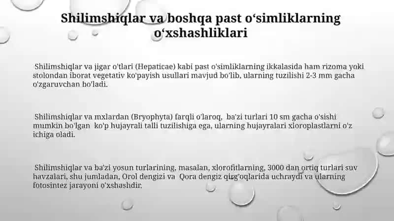Shilimshiqlar tallomining tuzilishi 3