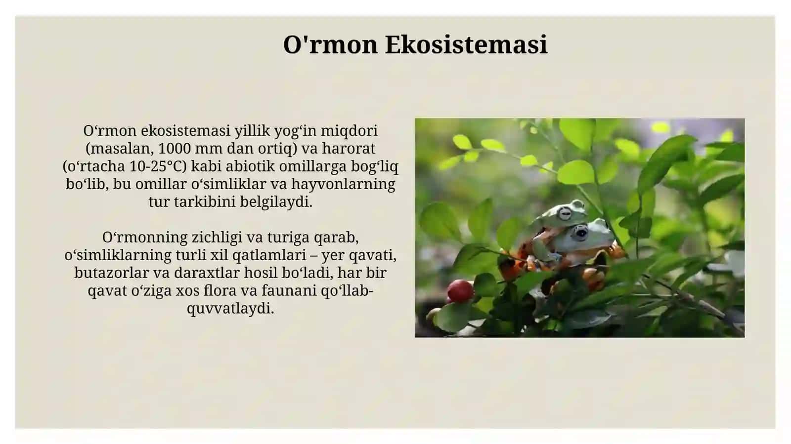 O'rmon Ekosistemasi 3