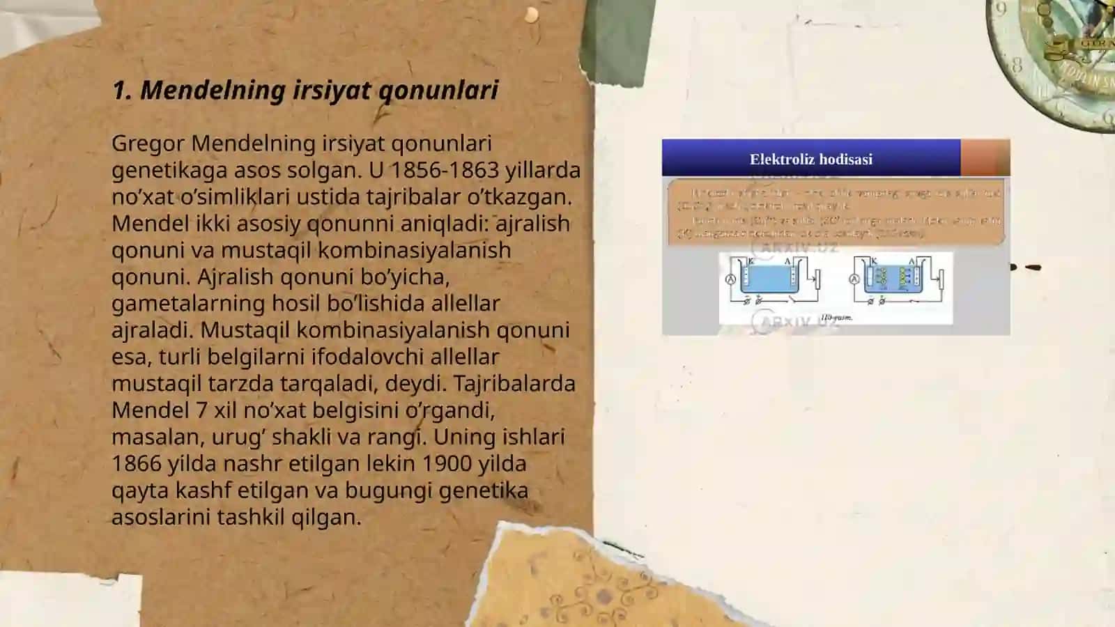 Mendelning irsiyat qonunlari 3