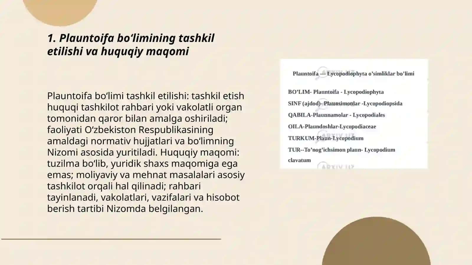 Plauntoifa boʻlimi 3