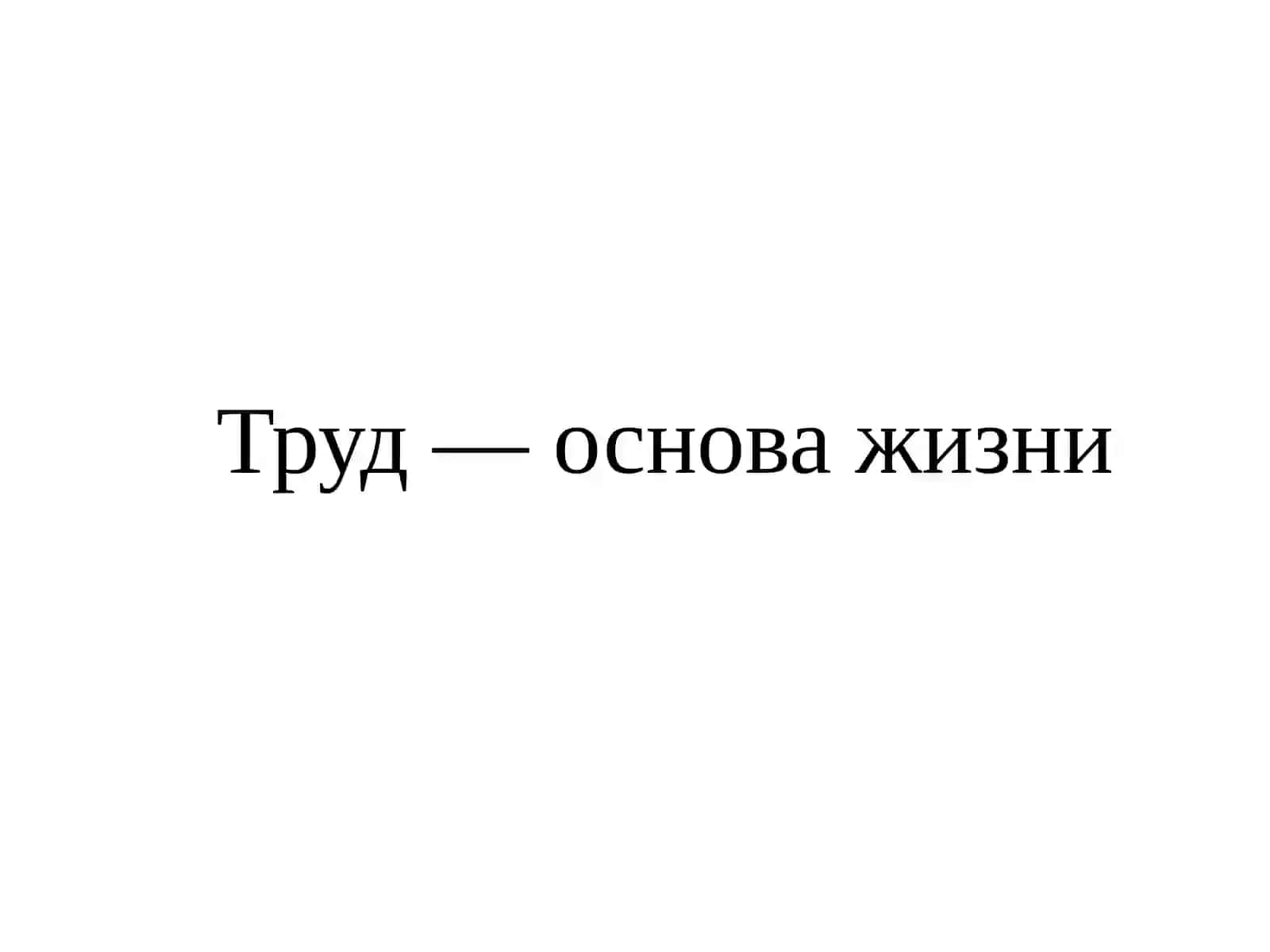 Труд— основа благополучия 3