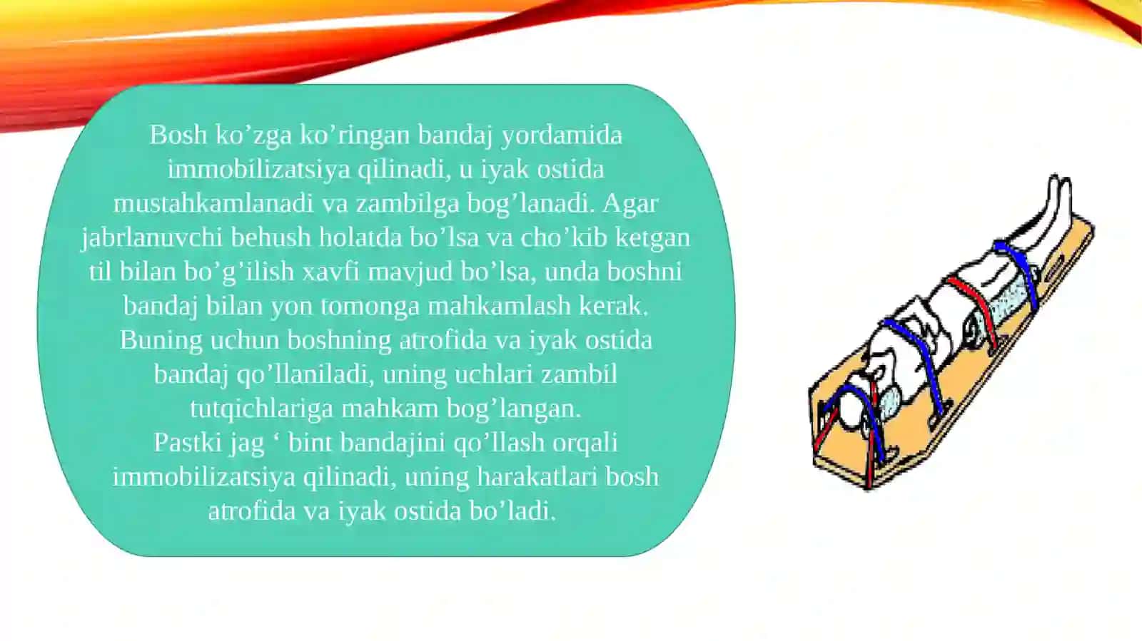 TIBBIY BILIM ASOSLARI FANIDAN TAYYORLAGAN TAQDIMOTI 3