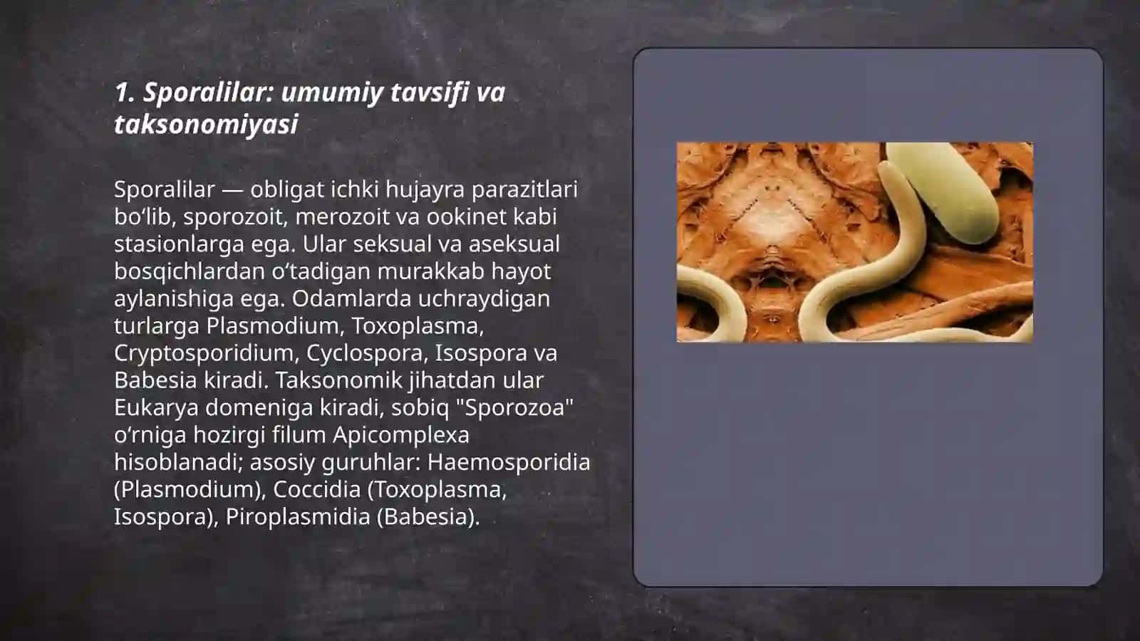 Sporalilar - odam parazitlari 3