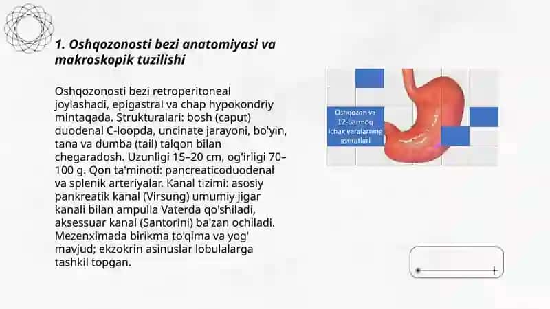 Oshqozonosti bezi va uning gormonlari 3