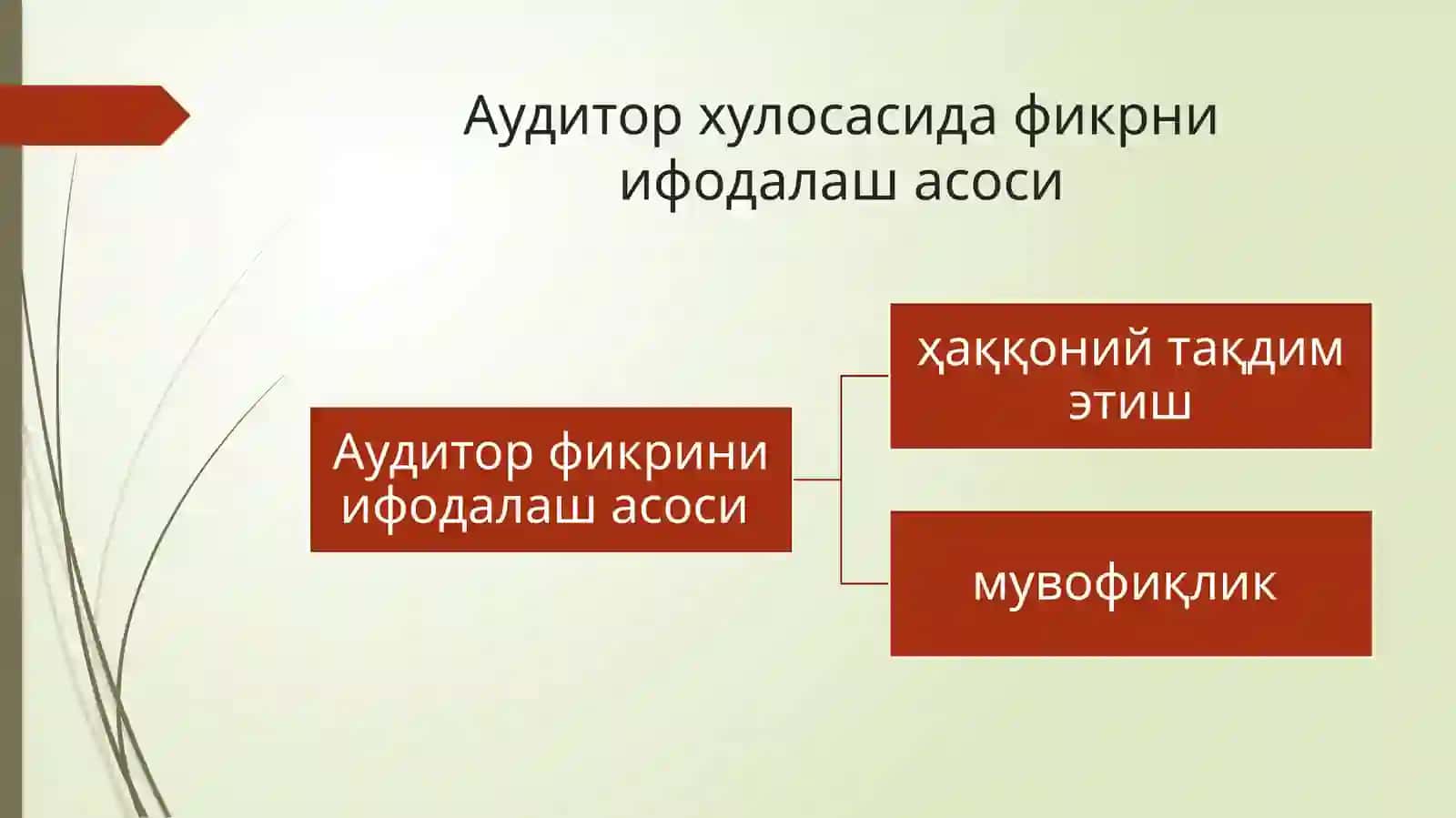 Аудитор хулосаси (ҳисоботи) 3