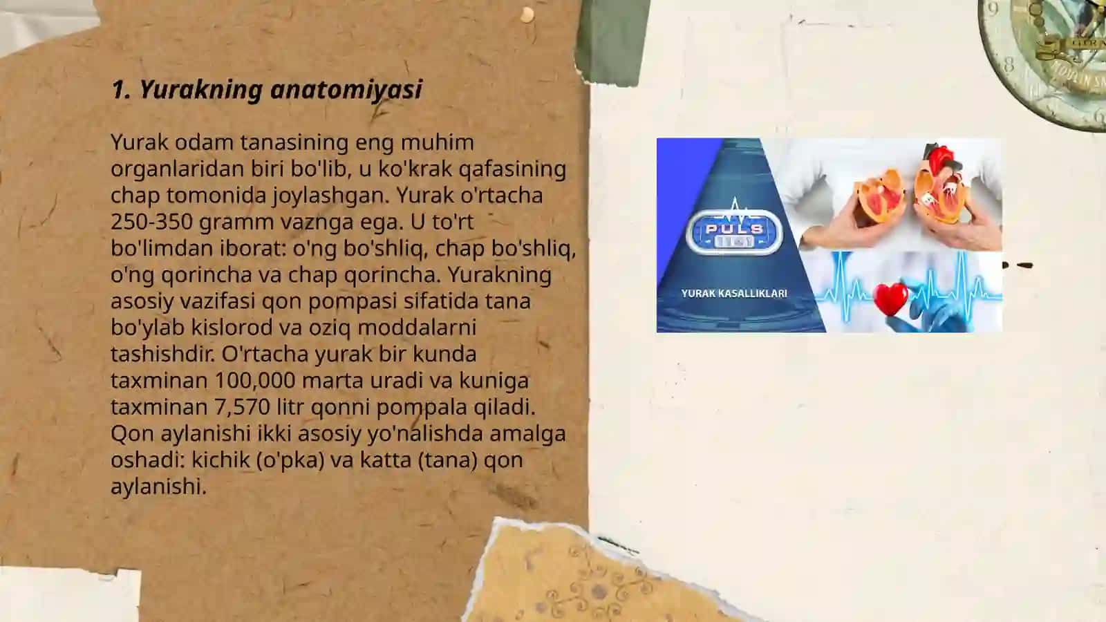 Yurak va qon tomirlarning tuzilishi haqida 3