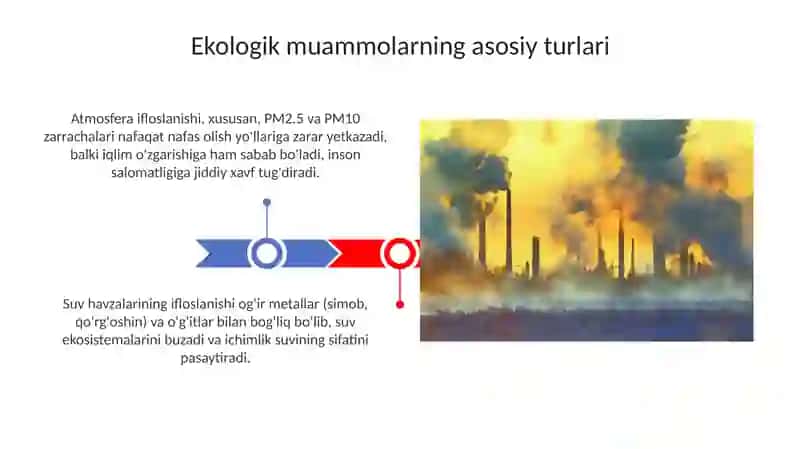 Ekologik muammolar 3