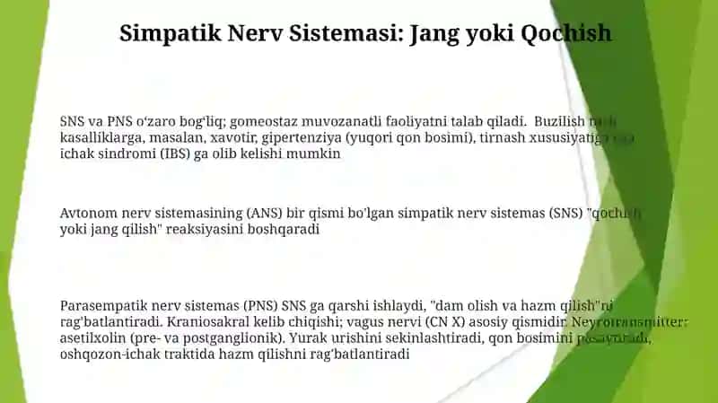 Vegetativ nerv sistemasining simpatik va parasimmatik qismi 3
