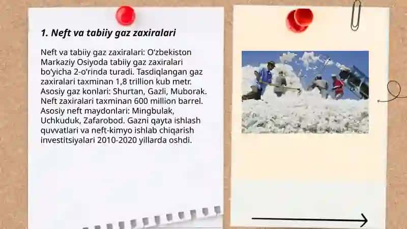 Oʻzbekistonning tabiiy boyliklari oʻzbek tilidan 3
