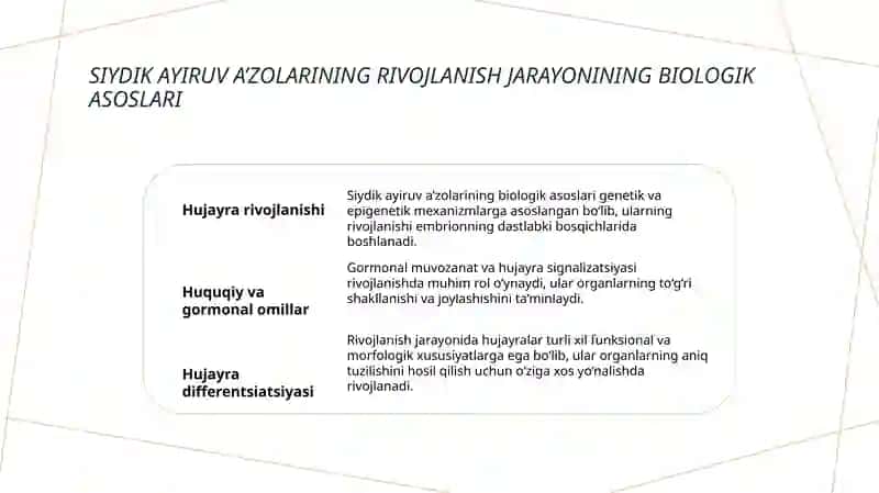 Siydik ayiruv a’zolarining rivojlanish nuqsonlari 3