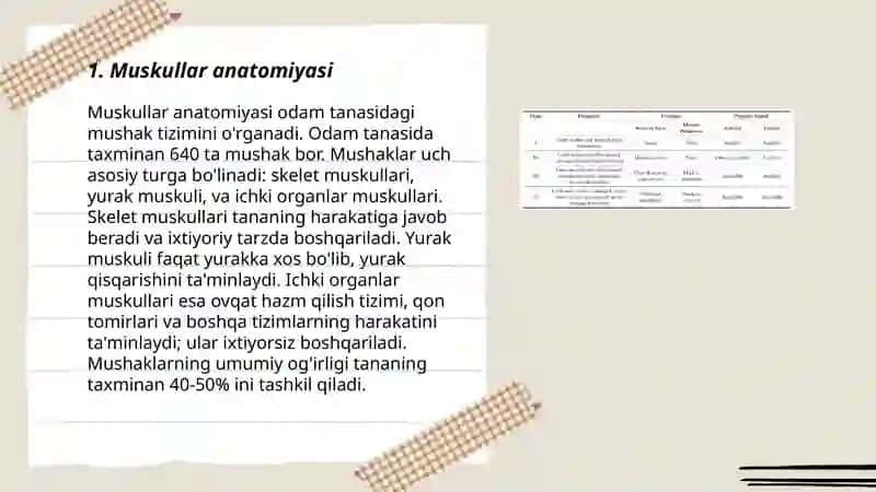 Ora muskullar klasifikatsiyasi 3
