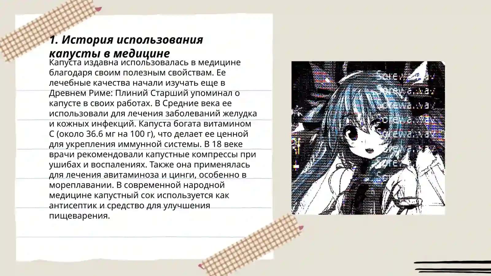 История использования капусты в медицине 3