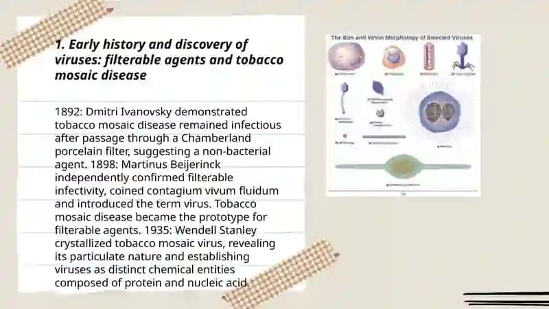 The history of the development of virology 3