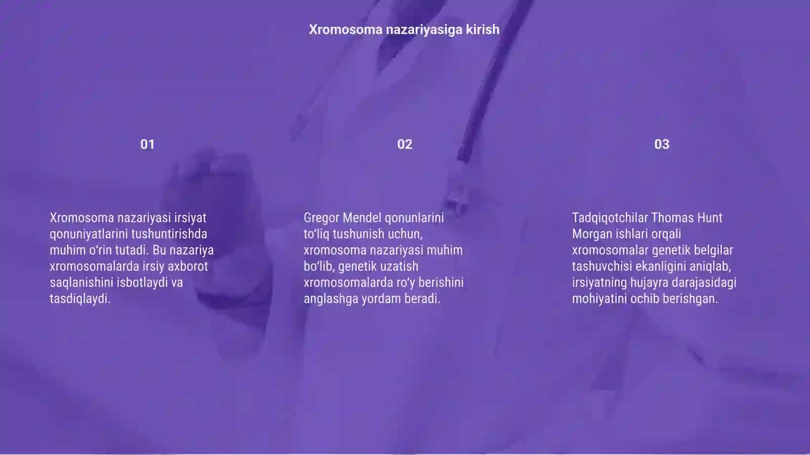 Xromosoma nazariyasining kashf etilishi va mohiyati 3