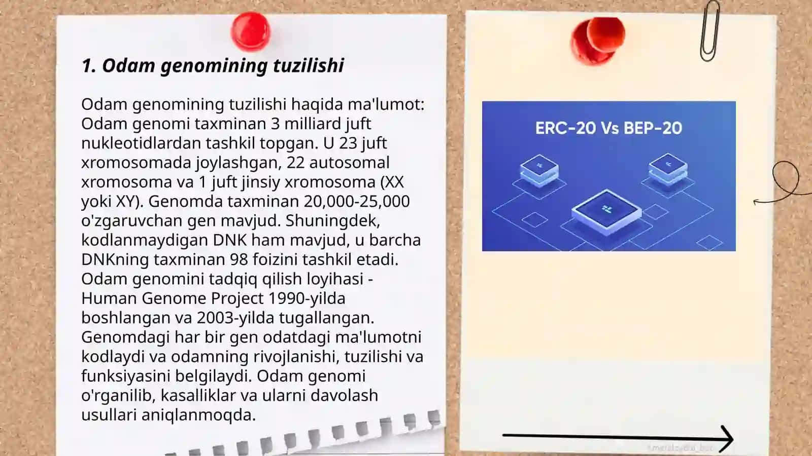 Odamlar genetikasi 3