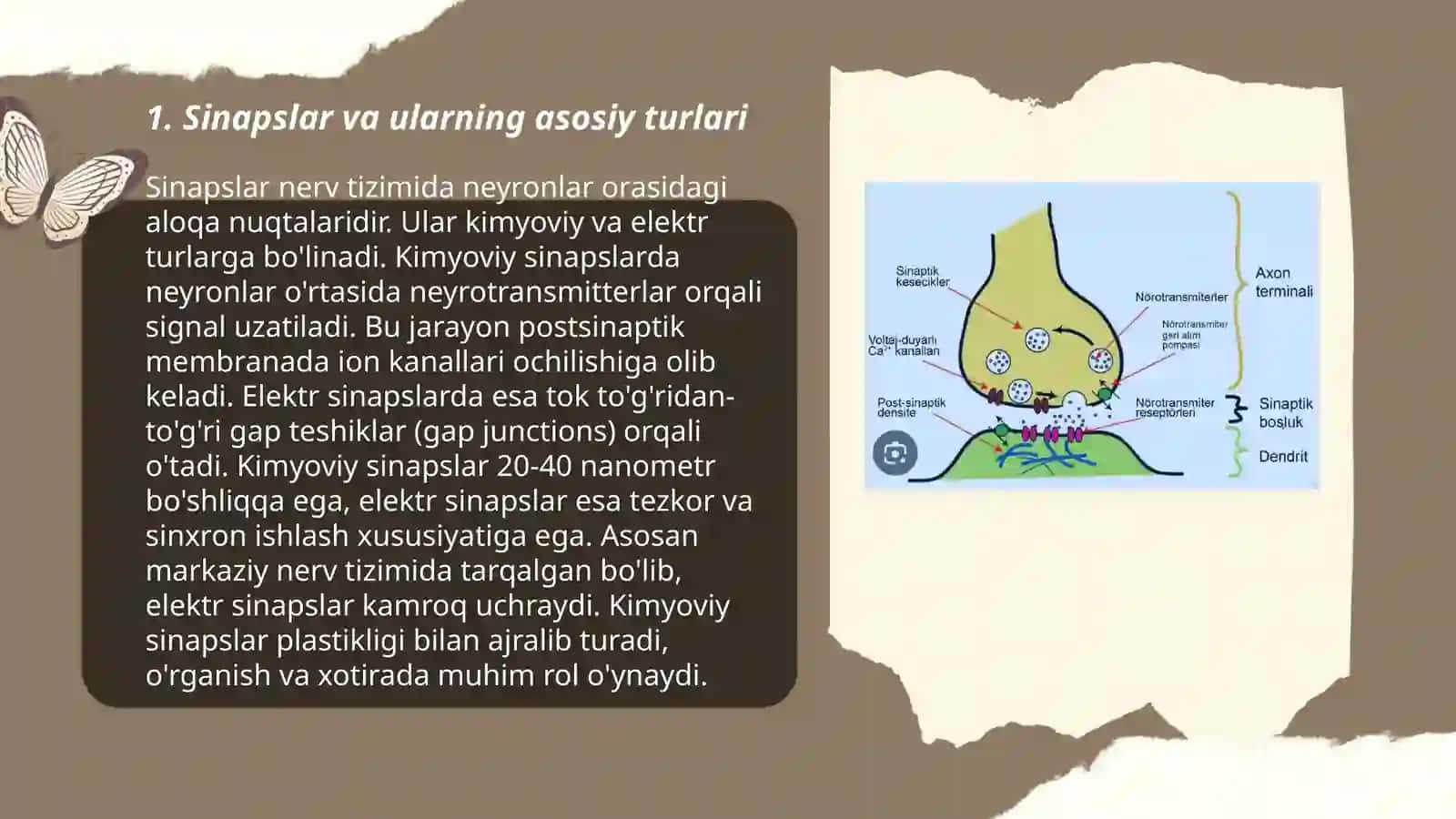 Sinapslarning turli moddalarga sezgirligi 3