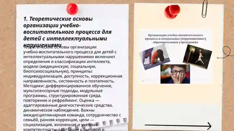 Организация учебно-воспитательного процесса для детей с интеллектуальными нарушениями 3